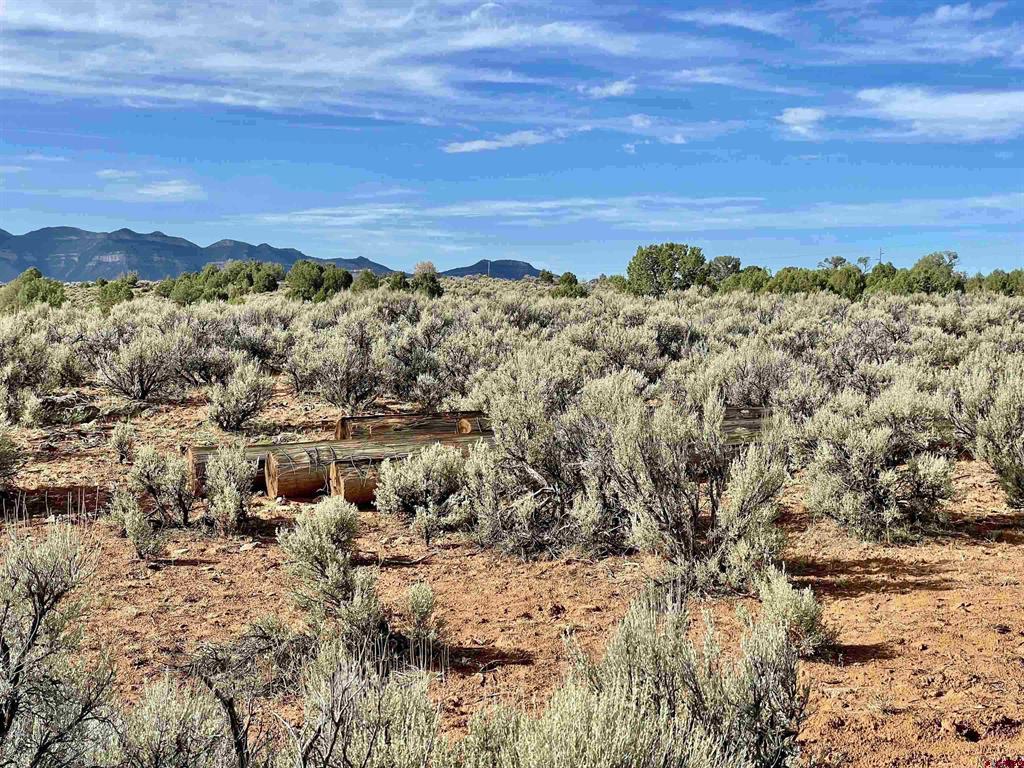 Tract 13 Road K.3 Cortez CO 81321