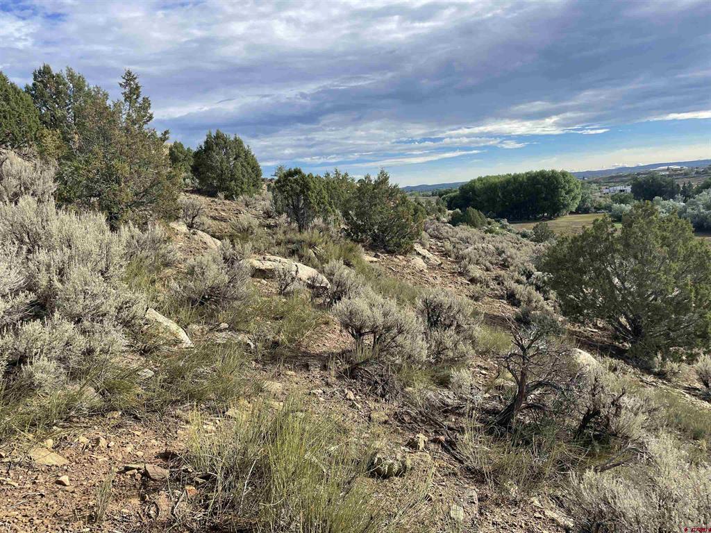 Tract 13 Road K.3 Cortez CO 81321