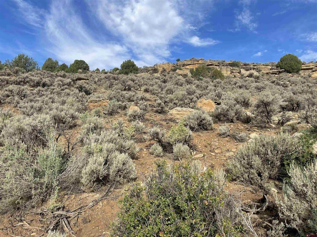 Tract 13 Road K.3 Cortez CO 81321