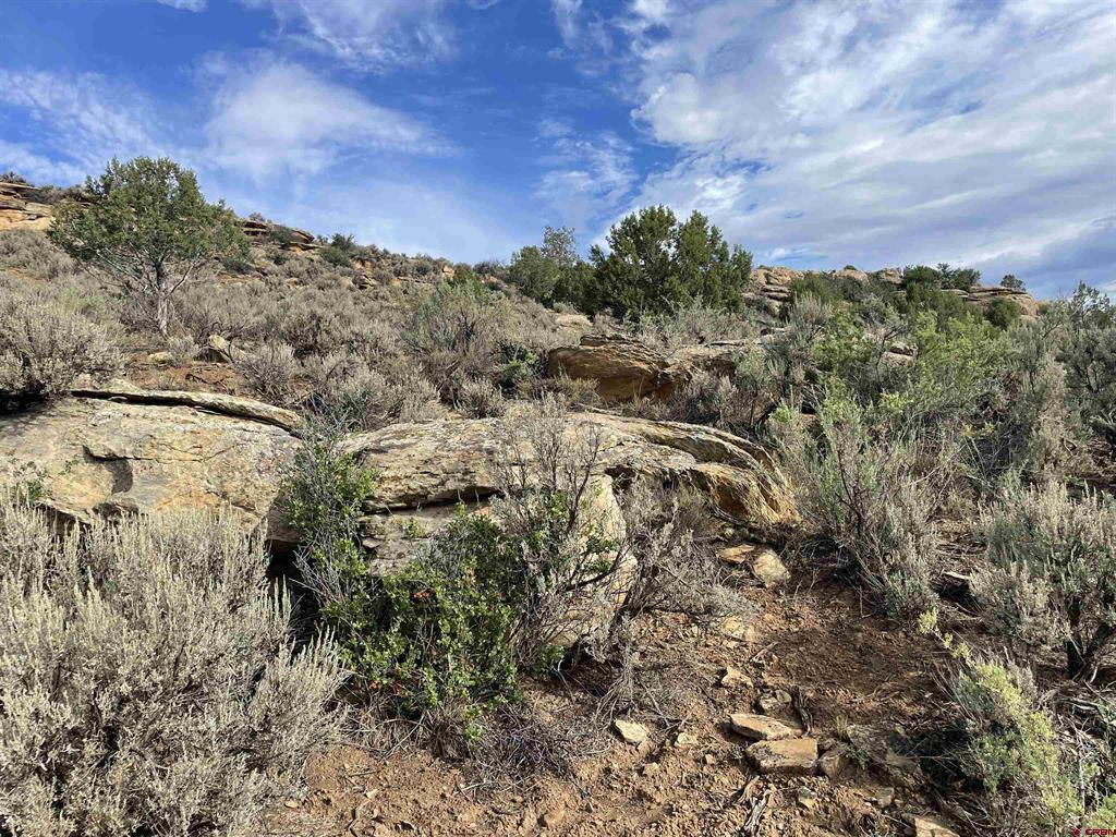 Tract 13 Road K.3 Cortez CO 81321