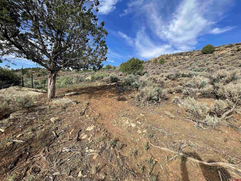 Tract 13 Road K.3 Cortez CO 81321