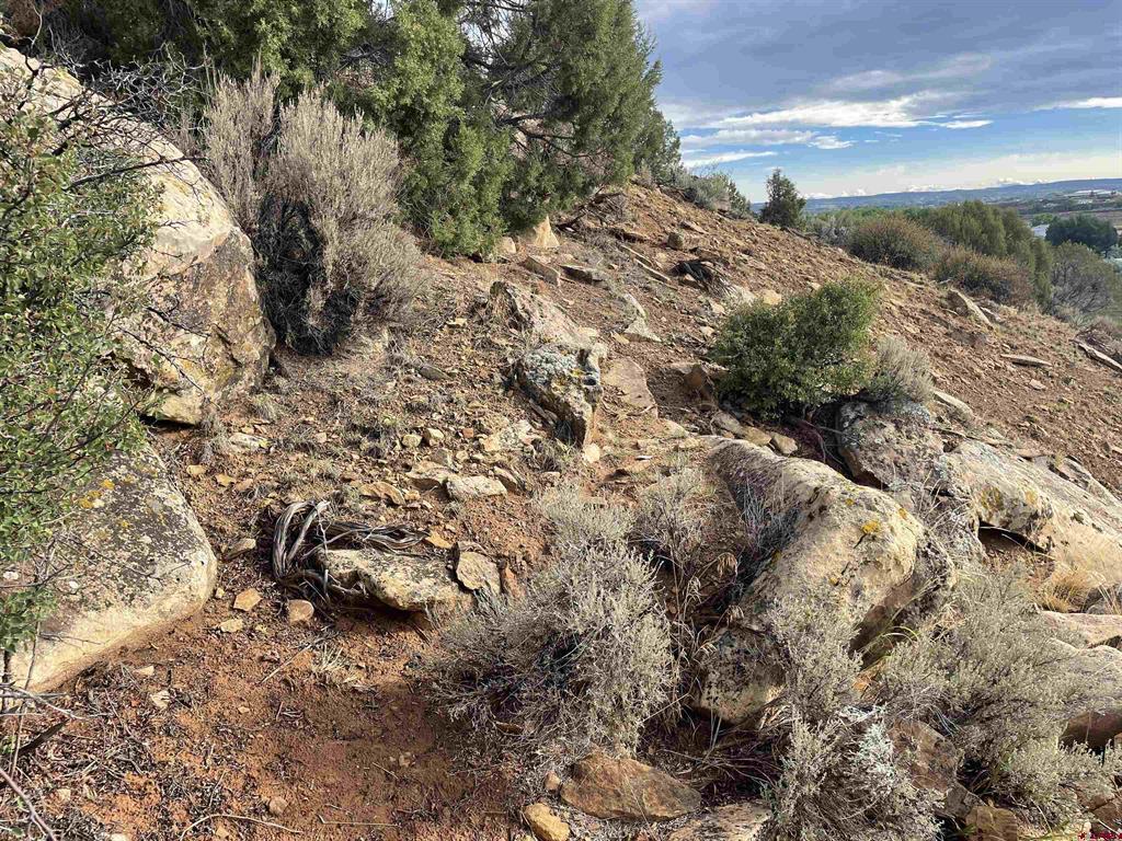 Tract 13 Road K.3 Cortez CO 81321