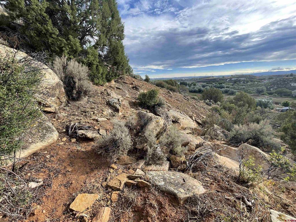 Tract 13 Road K.3 Cortez CO 81321