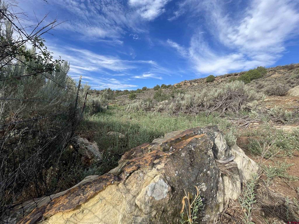 Tract 13 Road K.3 Cortez CO 81321