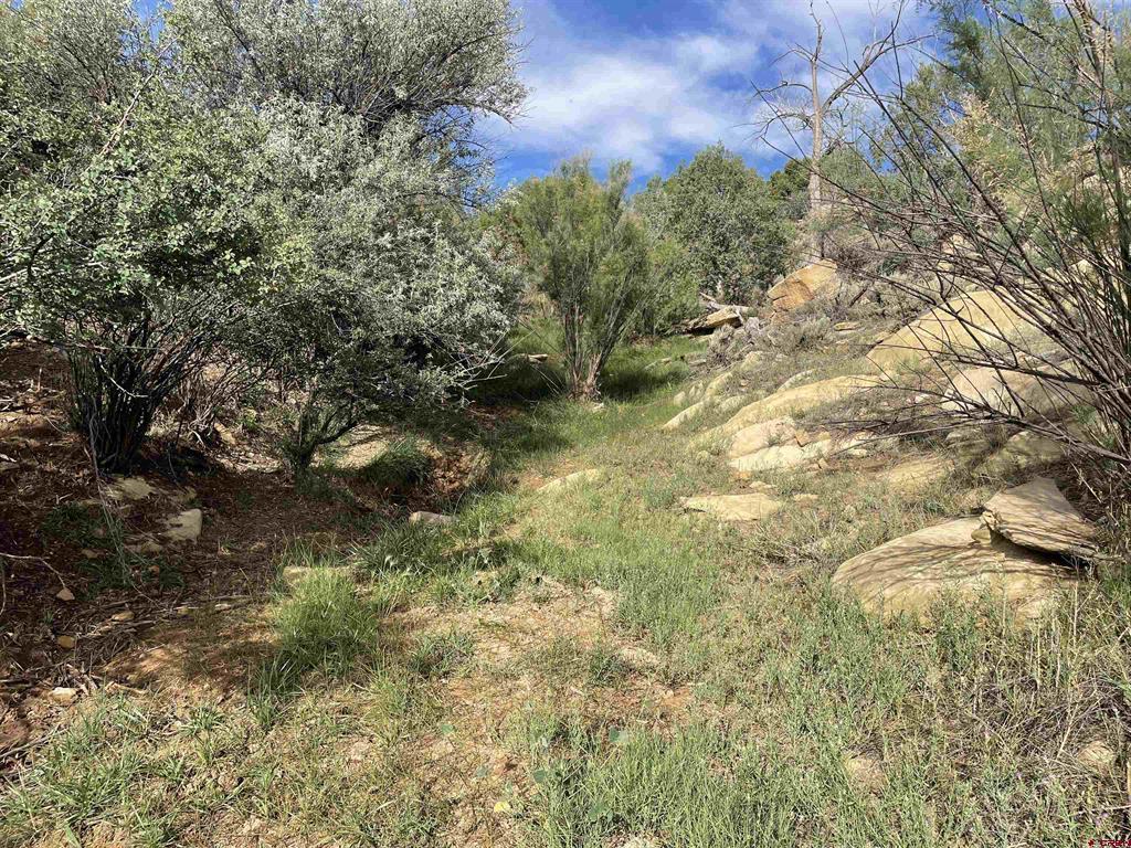 Tract 13 Road K.3 Cortez CO 81321