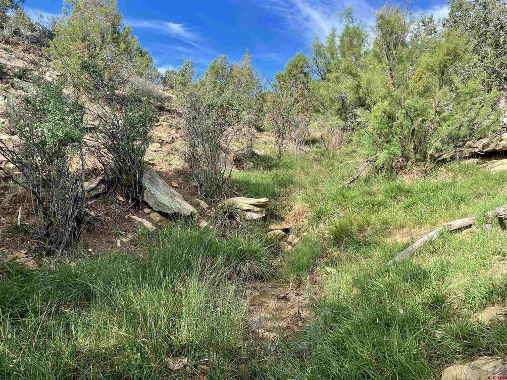 Tract 13 Road K.3 Cortez CO 81321