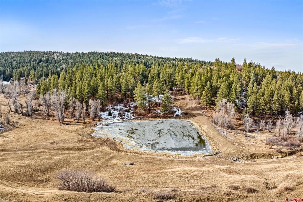 Tbd County Road 382 Pagosa Springs CO 81128