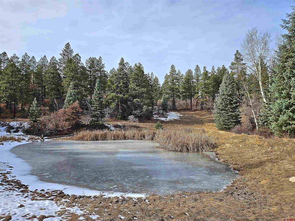 Tbd County Road 382 Pagosa Springs CO 81128