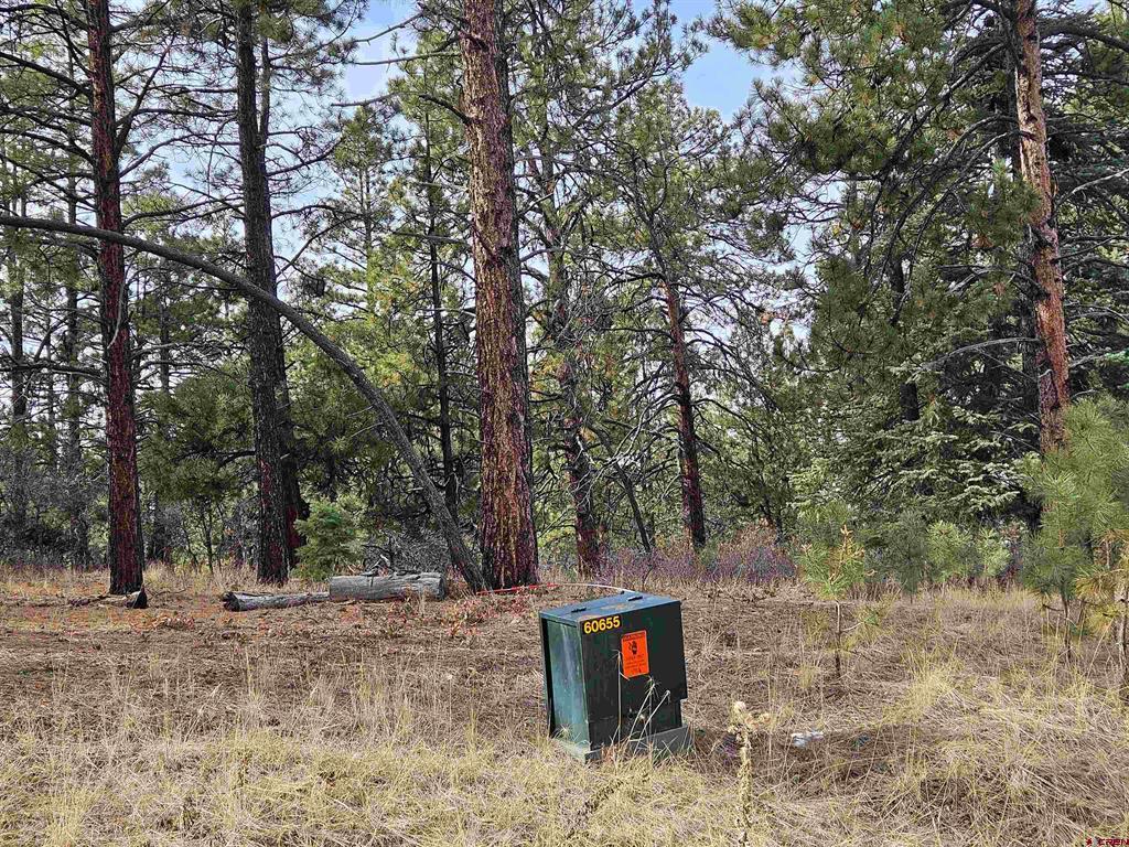 Tbd County Road 382 Pagosa Springs CO 81128