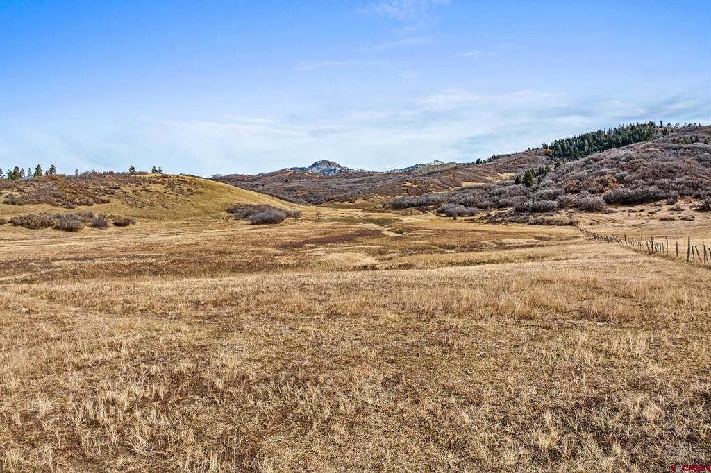 Tbd County Road 382 Pagosa Springs CO 81128
