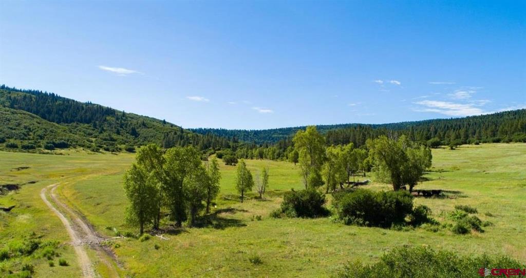 Tbd County Road 382 Pagosa Springs CO 81128