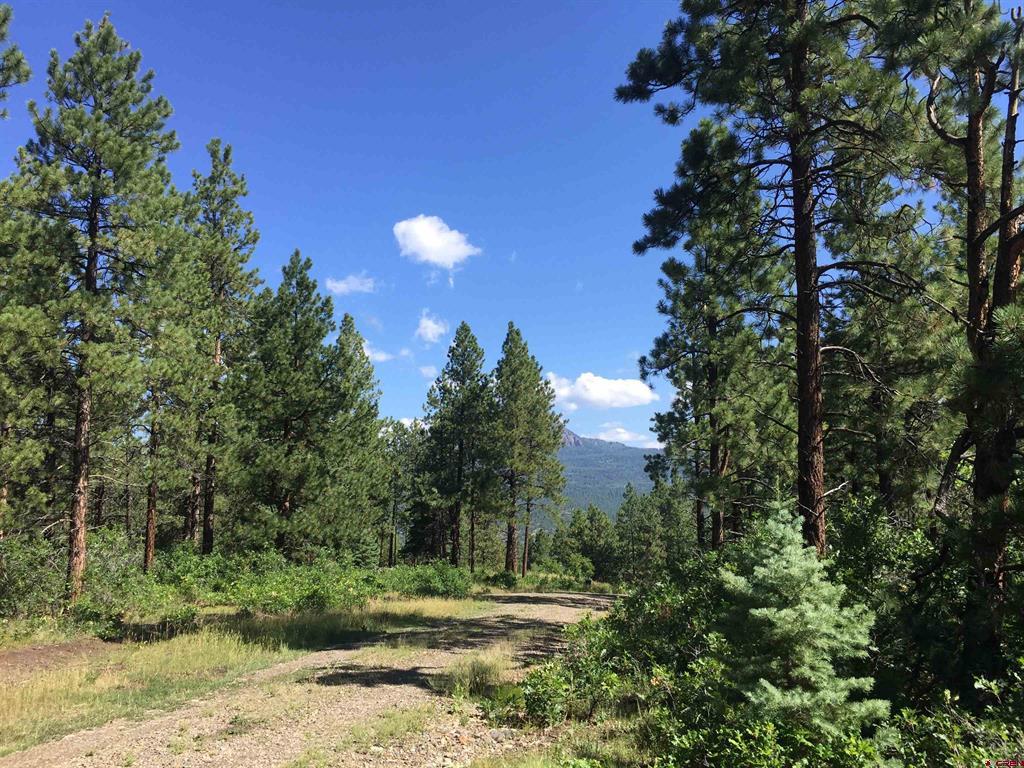 Tbd County Road 382 Pagosa Springs CO 81128
