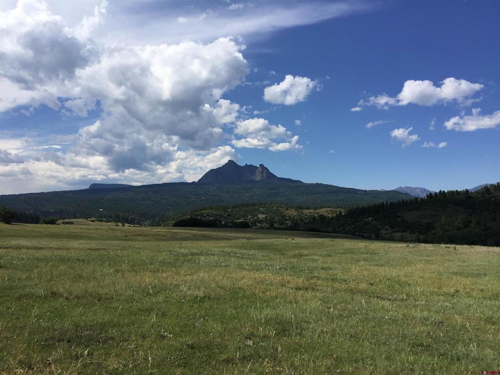 Tbd County Road 382 Pagosa Springs CO 81128