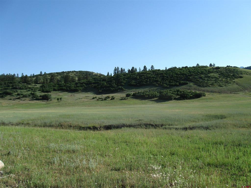 Tbd County Road 382 Pagosa Springs CO 81128