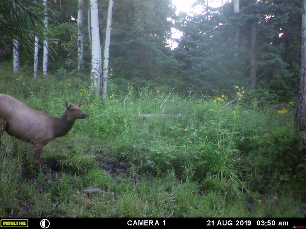 Tbd County Road 382 Pagosa Springs CO 81128