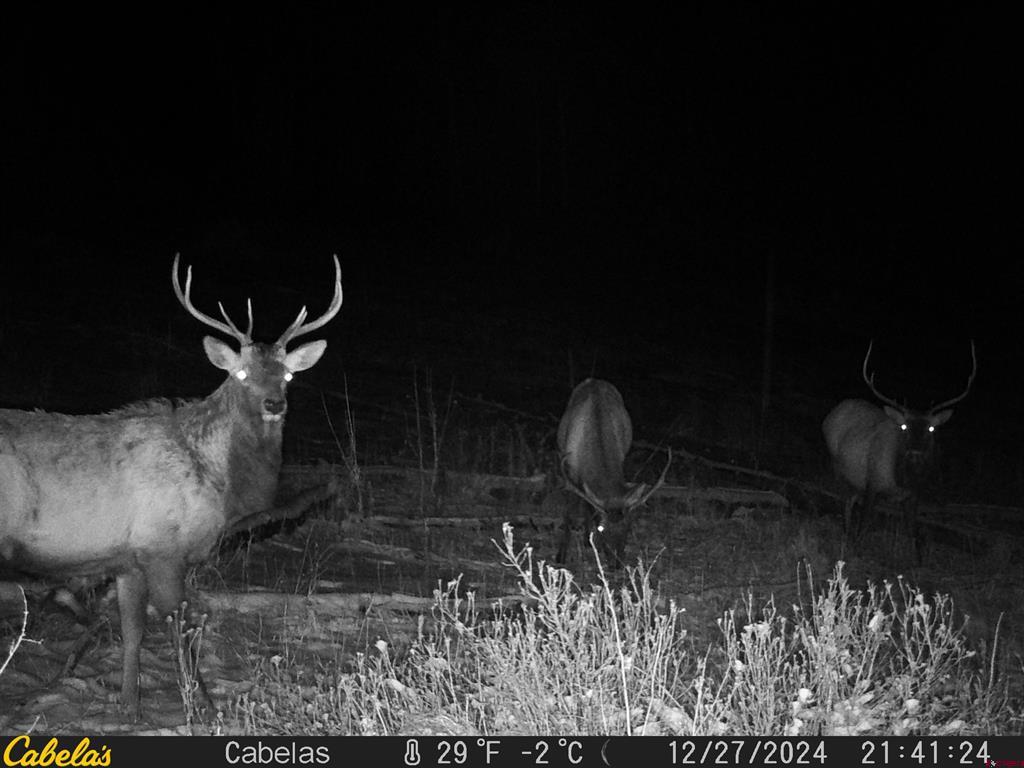 Tbd County Road 382 Pagosa Springs CO 81128