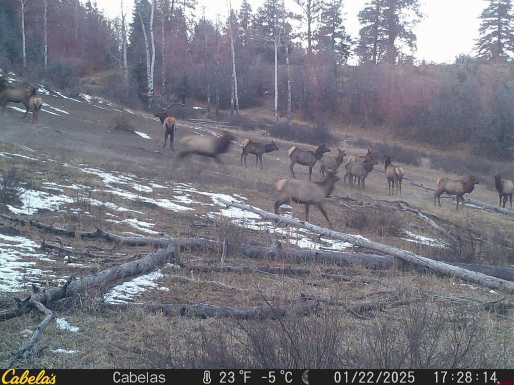 Tbd County Road 382 Pagosa Springs CO 81128