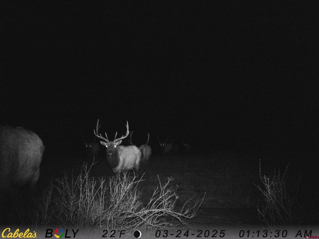 Tbd County Road 382 Pagosa Springs CO 81128