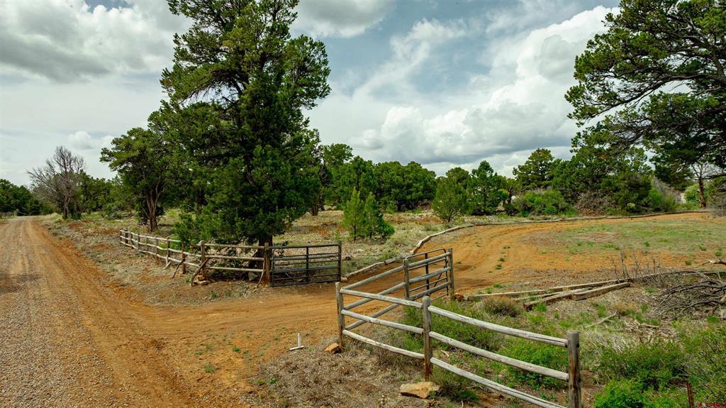 850 Canyon Ridge Road Montrose CO 81403