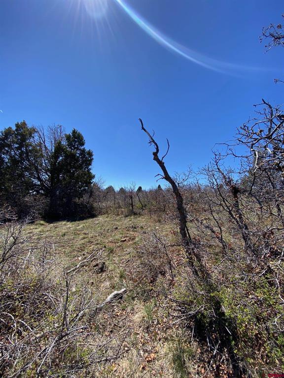 902 Roberts Ridge Hesperus CO 81326