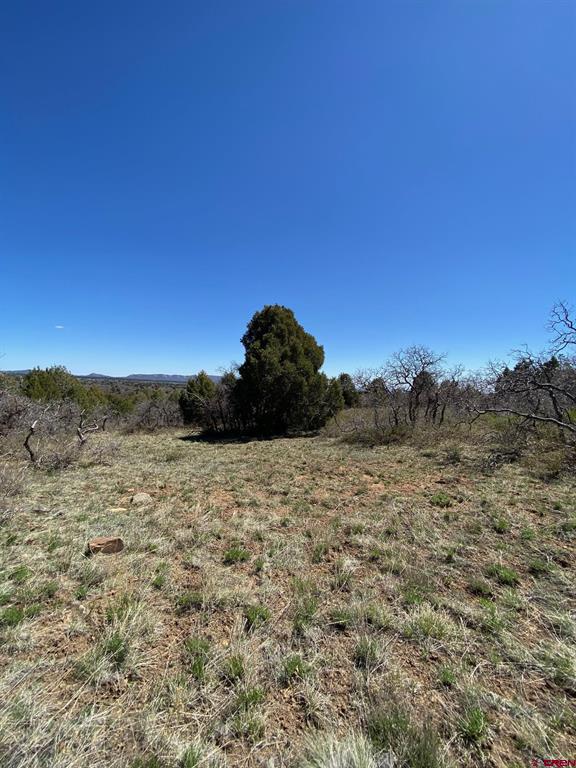 902 Roberts Ridge Hesperus CO 81326