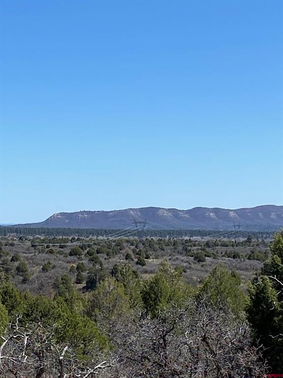 902 Roberts Ridge Hesperus CO 81326