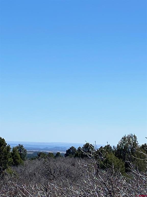 902 Roberts Ridge Hesperus CO 81326