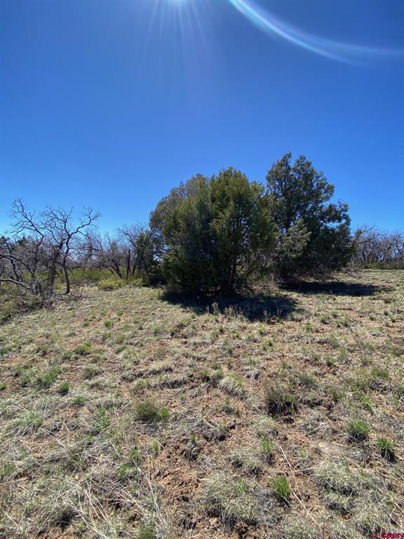 902 Roberts Ridge Hesperus CO 81326