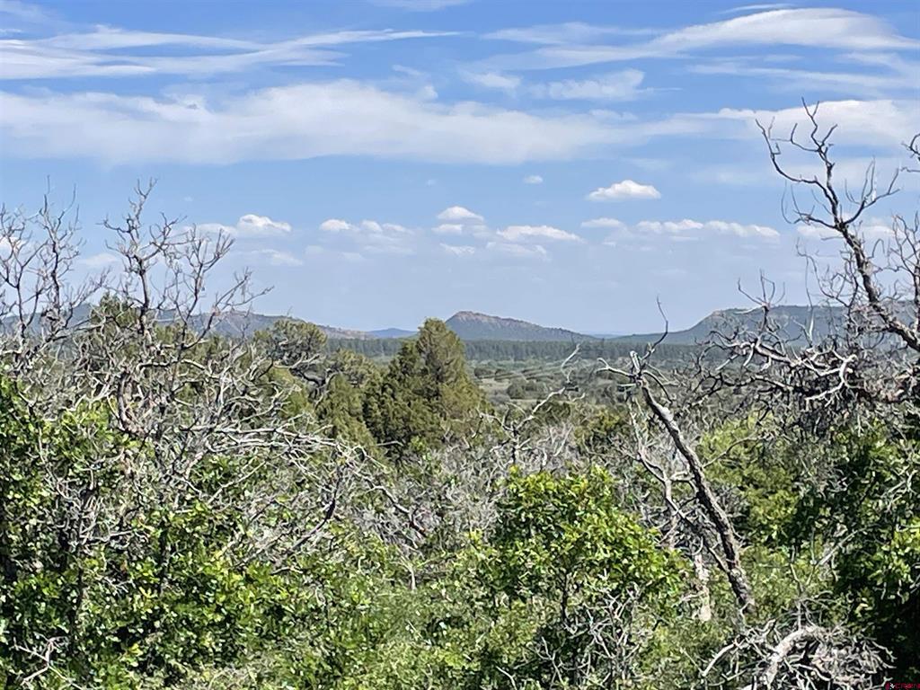 902 Roberts Ridge Hesperus CO 81326