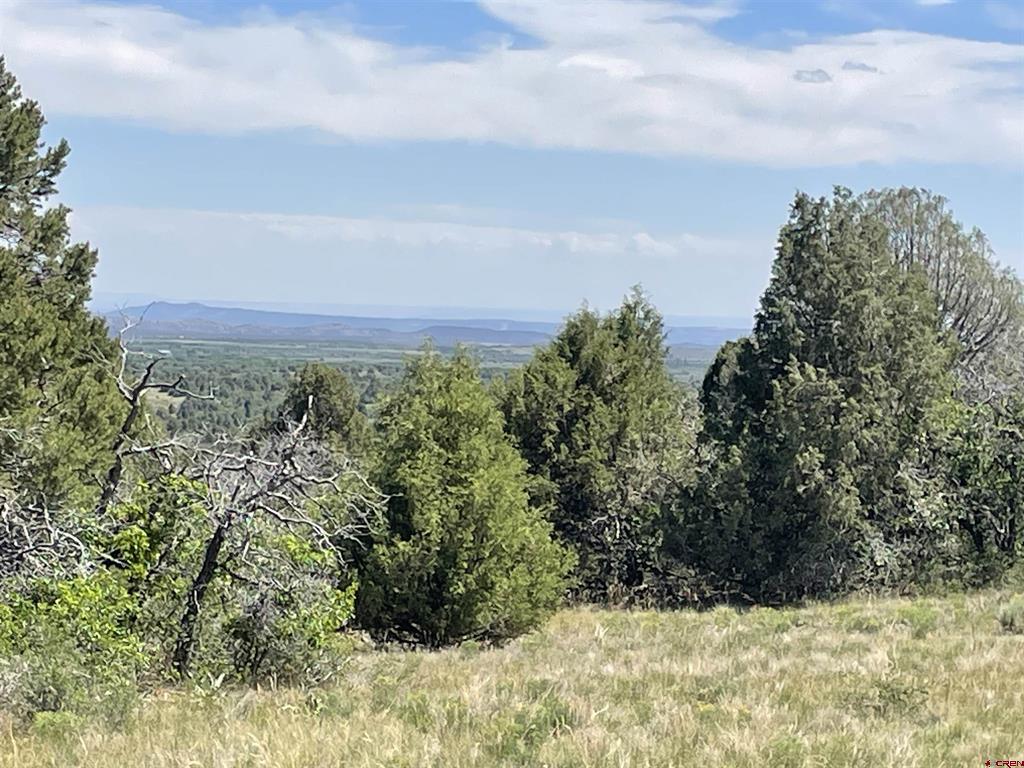 902 Roberts Ridge Hesperus CO 81326