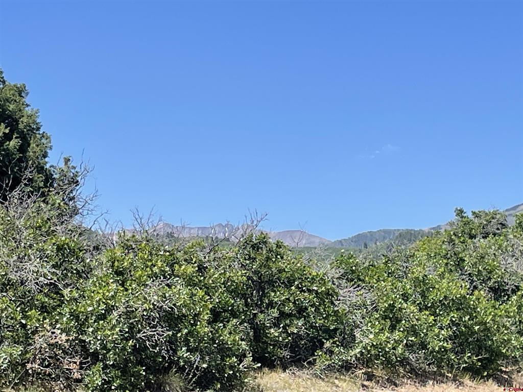 902 Roberts Ridge Hesperus CO 81326