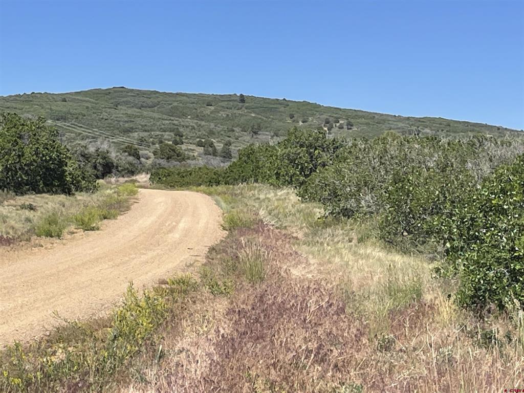 902 Roberts Ridge Hesperus CO 81326