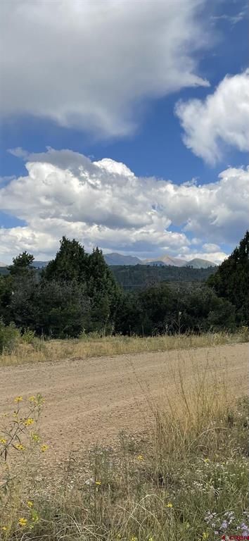 902 Roberts Ridge Hesperus CO 81326
