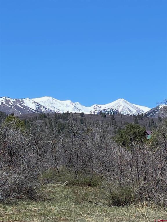 902 Roberts Ridge Hesperus CO 81326