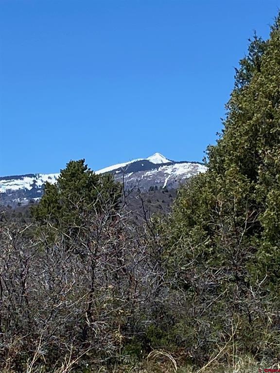 902 Roberts Ridge Hesperus CO 81326