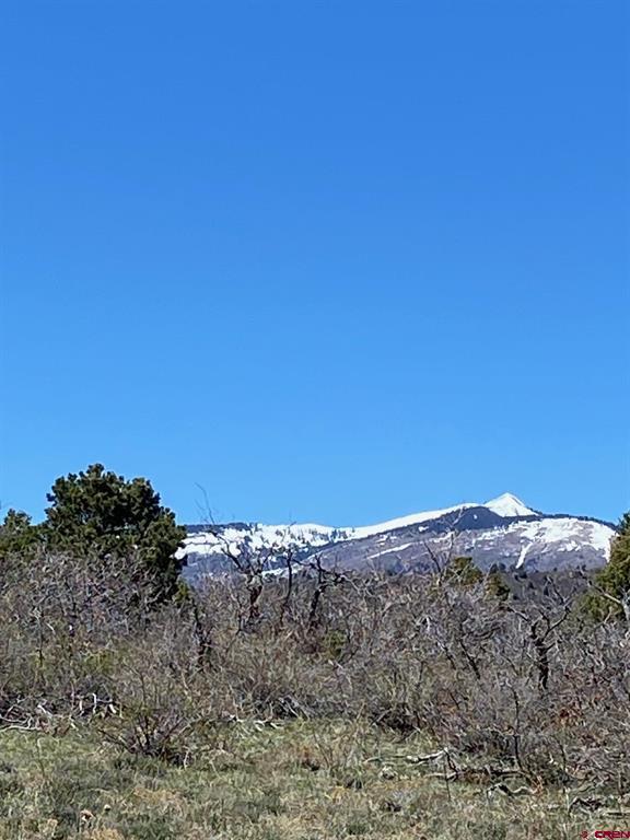 902 Roberts Ridge Hesperus CO 81326