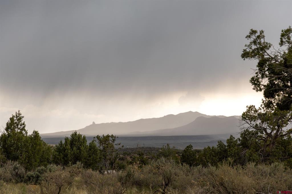 Tbd S Broadway Highway Cortez CO 81321
