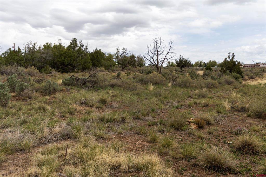 Tbd S Broadway Highway Cortez CO 81321