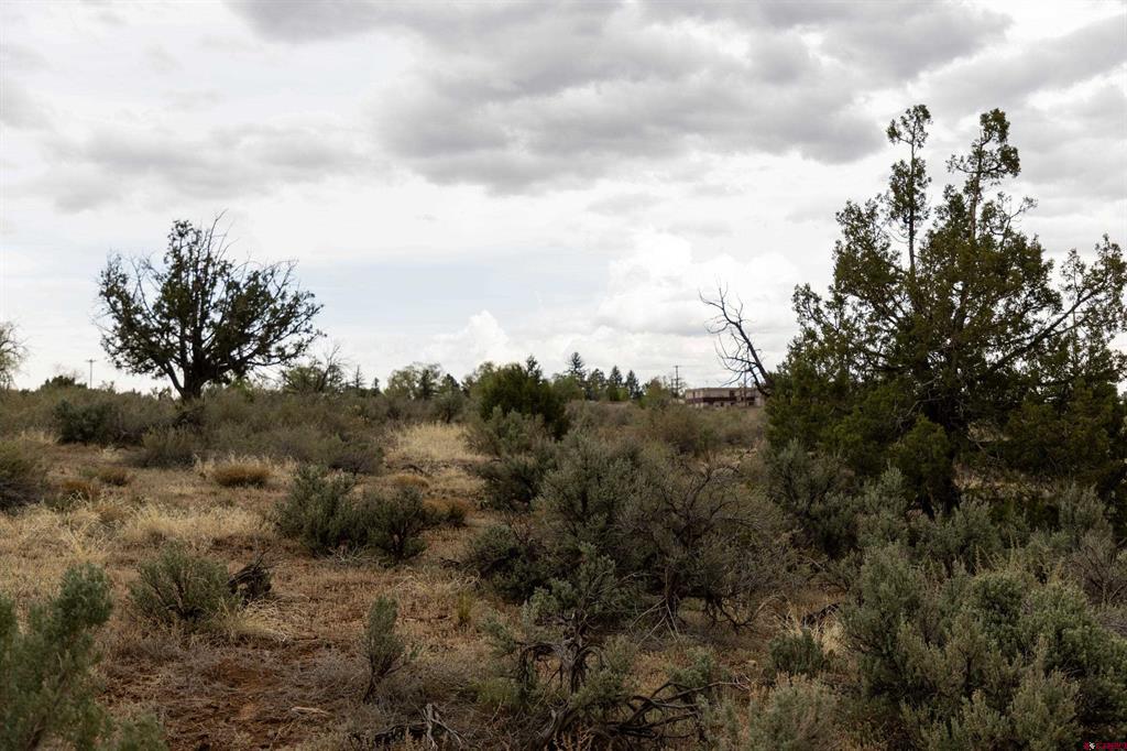 Tbd S Broadway Highway Cortez CO 81321