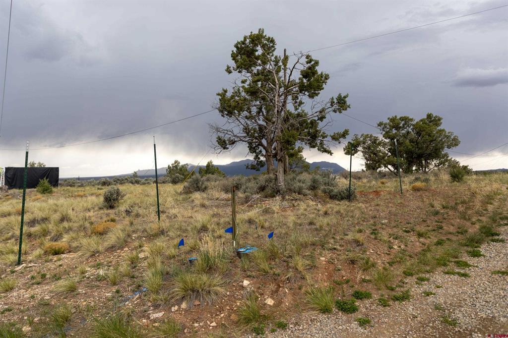 Tbd S Broadway Highway Cortez CO 81321