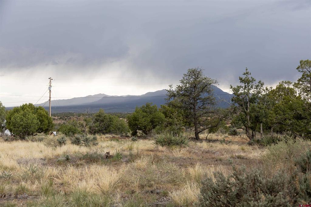 Tbd S Broadway Highway Cortez CO 81321