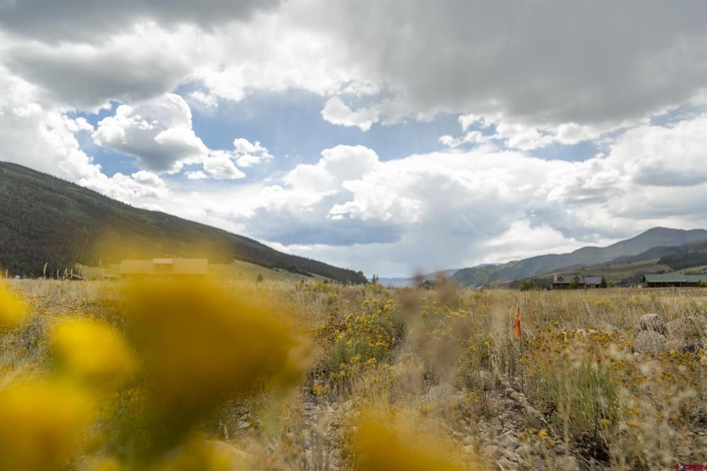 207 Sunset Court Creede CO 81130