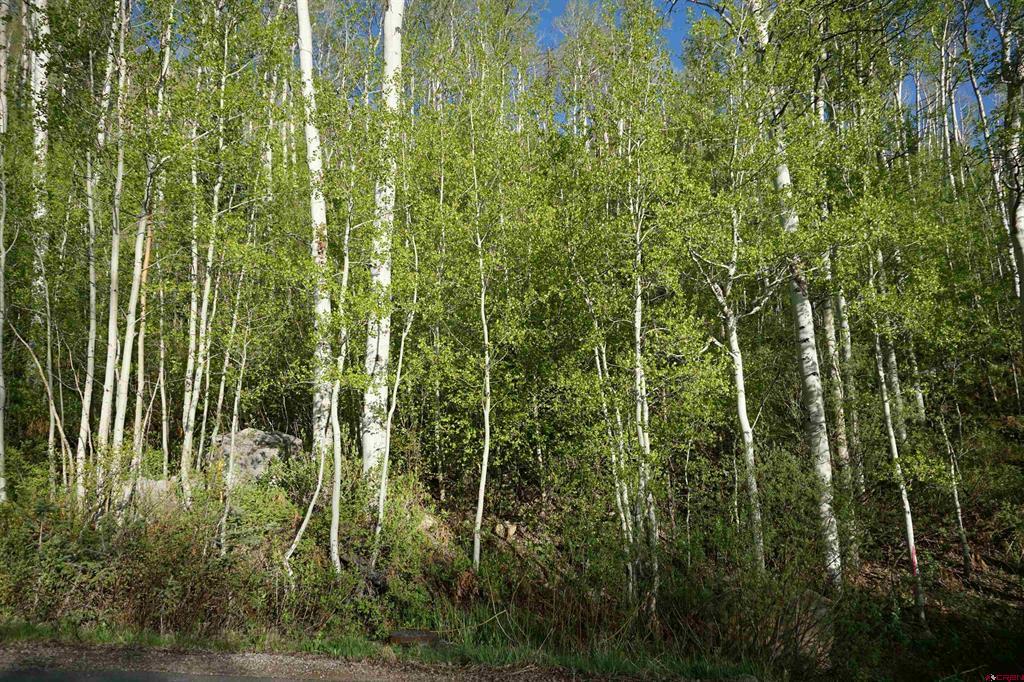 350 Falcon Ridge Road Durango CO 81301