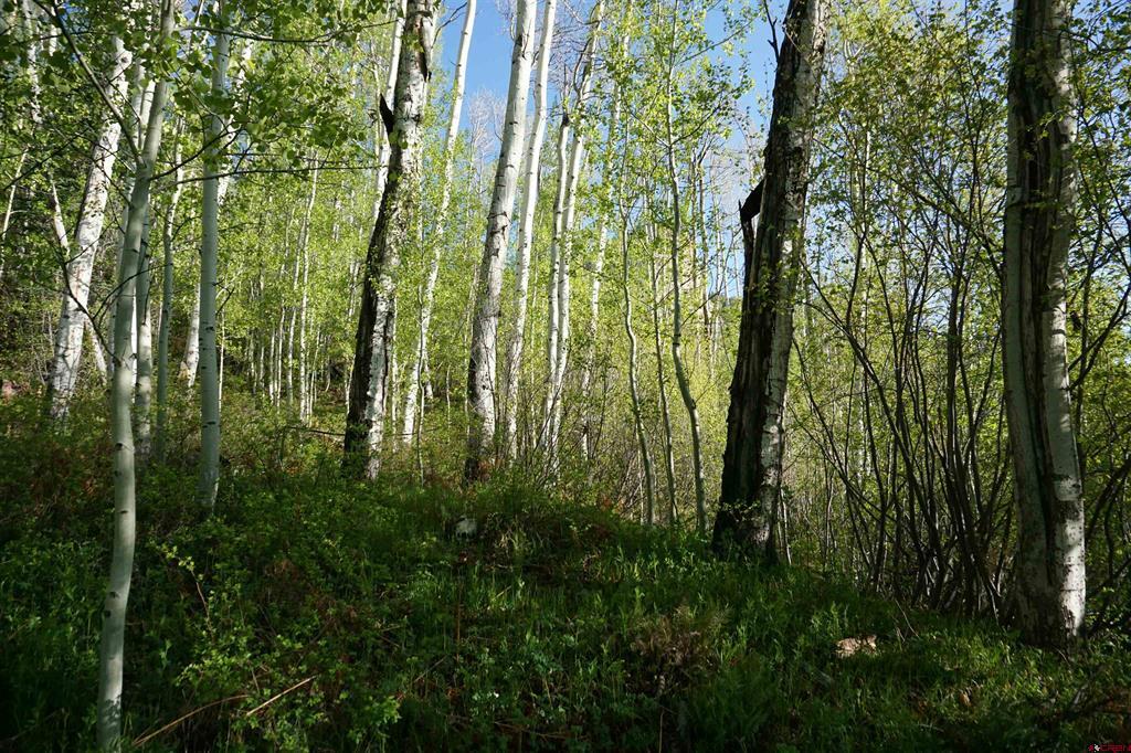 350 Falcon Ridge Road Durango CO 81301