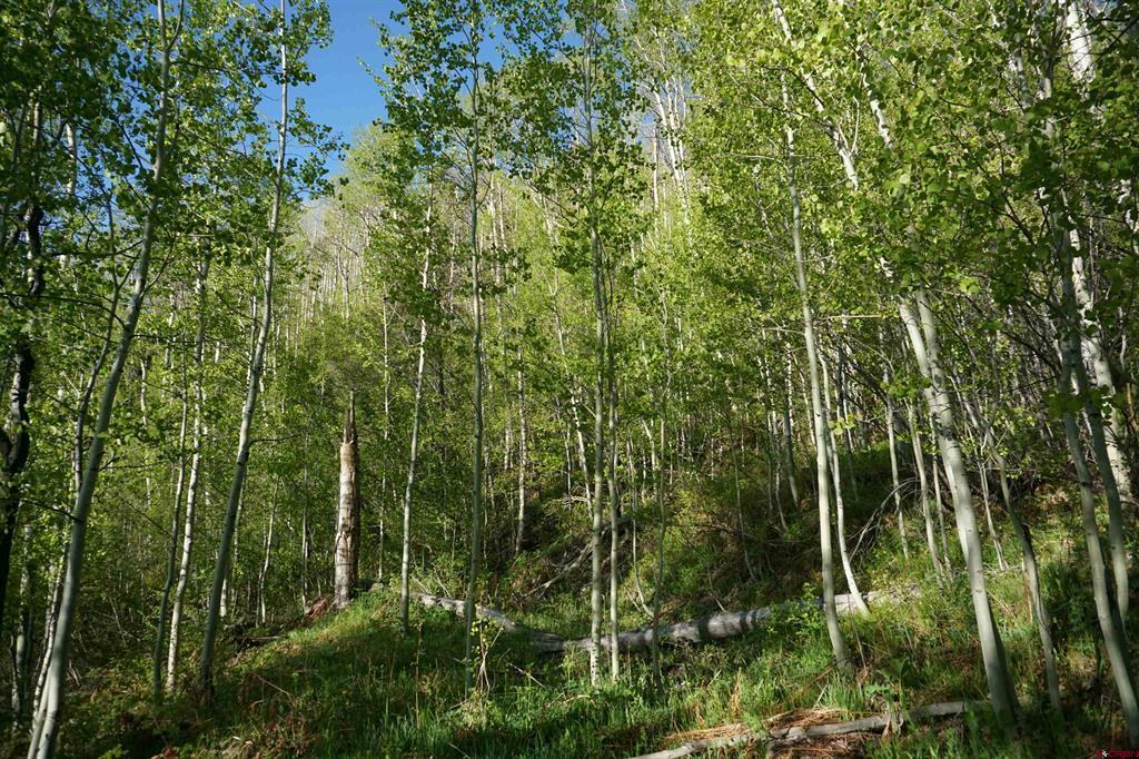 350 Falcon Ridge Road Durango CO 81301