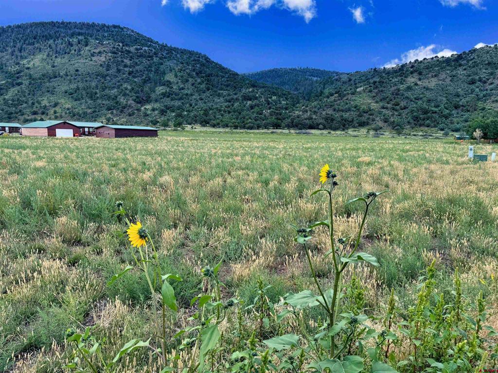 Tbd Hidden View Drive South Fork CO 81154