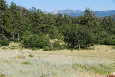 X Us Hwy 84 #047 Pagosa Springs CO 81147