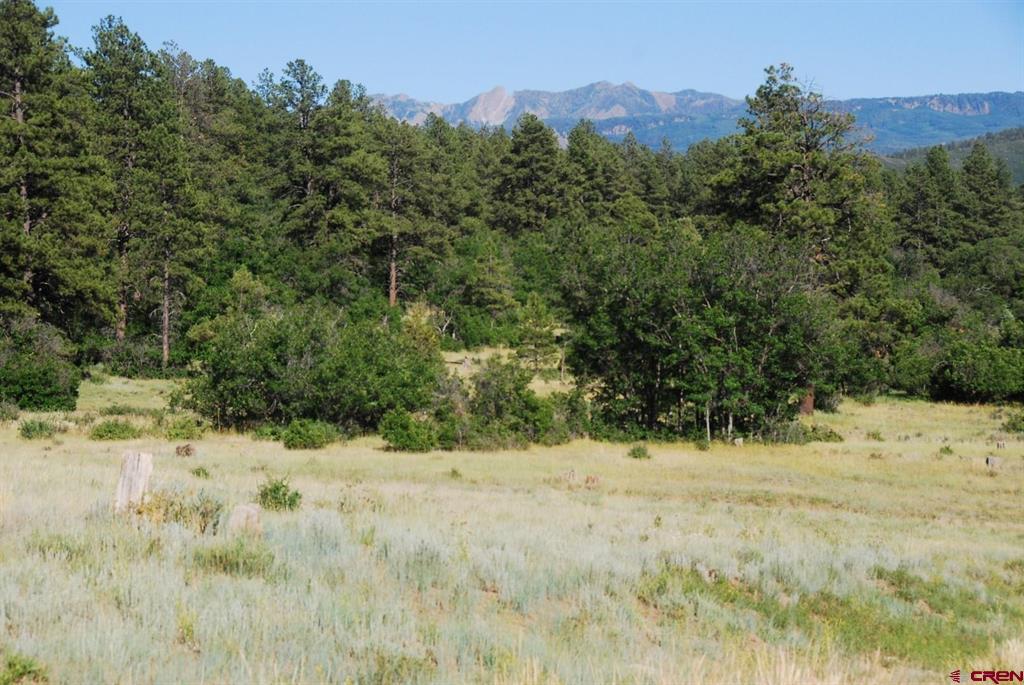Pagosa Springs CO, X Us Hwy 84 #047