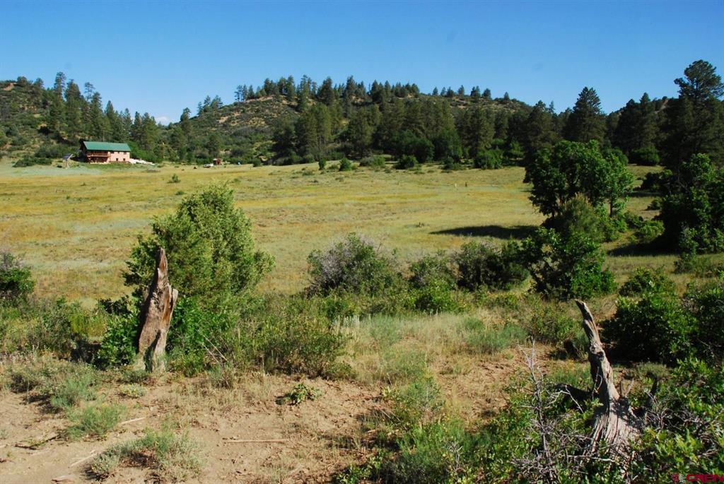X Us Hwy 84 #047 Pagosa Springs CO 81147