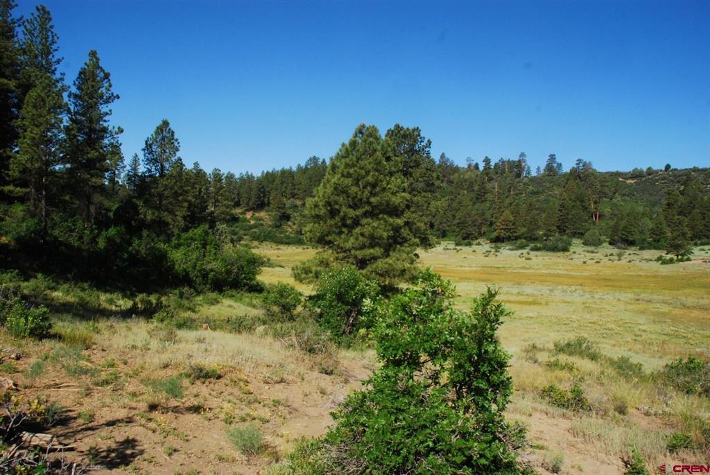 X Us Hwy 84 #047 Pagosa Springs CO 81147